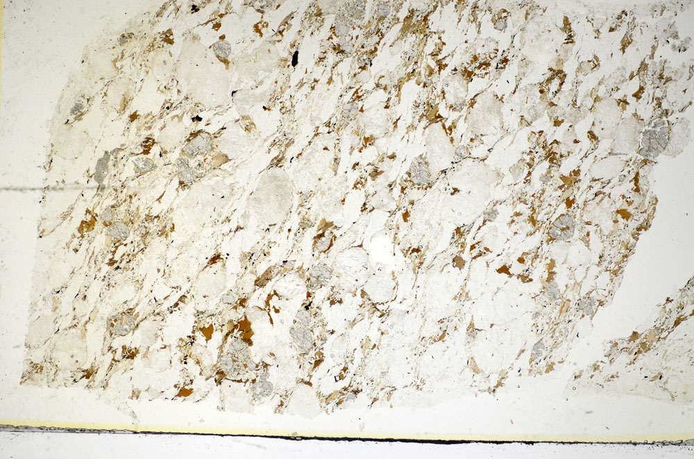 Plane Polarized, S85411