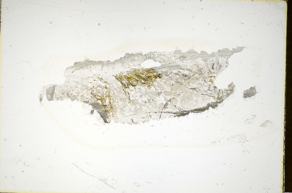 Plane Polarized, S85415