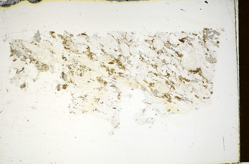 Plane Polarized, S85419