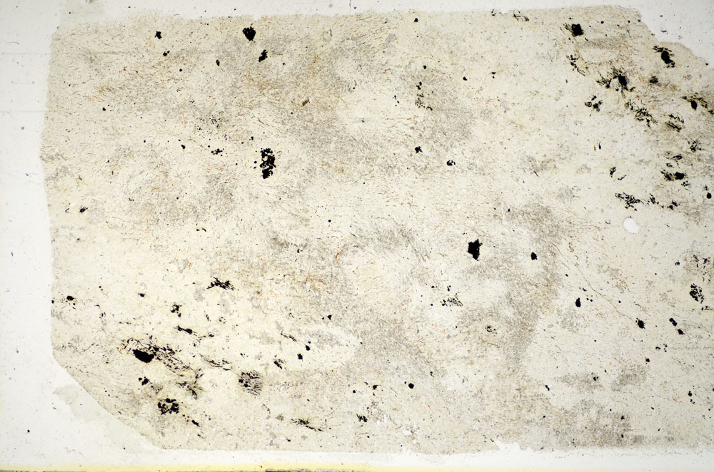 Plane Polarized, S85434