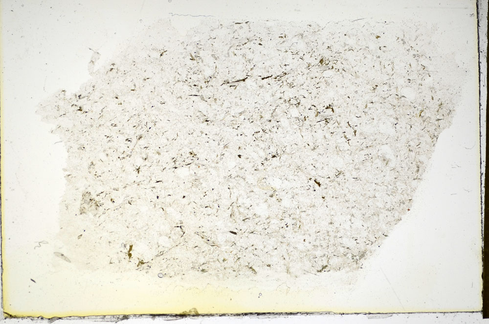 Plane Polarized, S85437