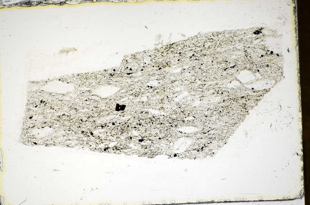 Plane Polarized, S85439