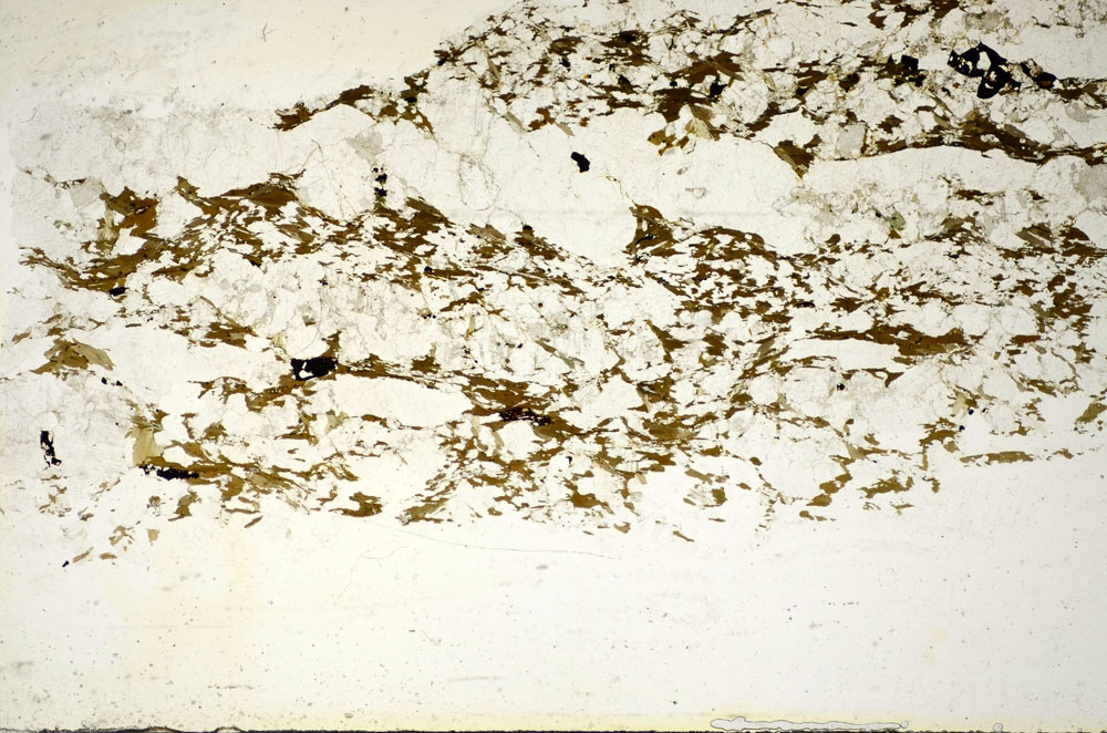 Plane Polarized, S85443