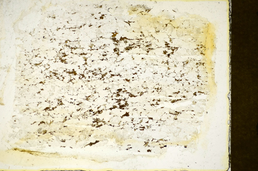 Plane Polarized, S85446