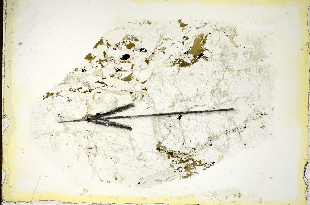 Plane Polarized, S85453