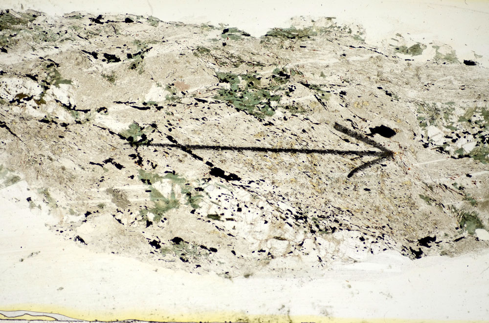 Plane Polarized, S85457