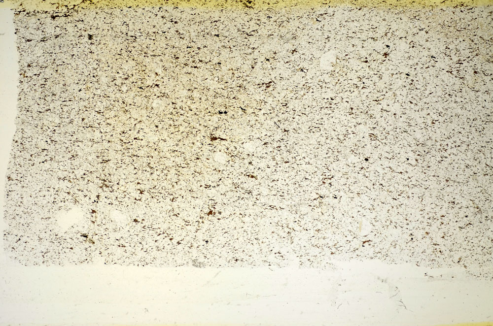 Plane Polarized, S85471