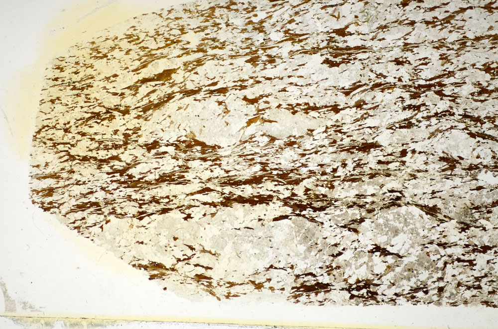 Plane Polarized, S85478