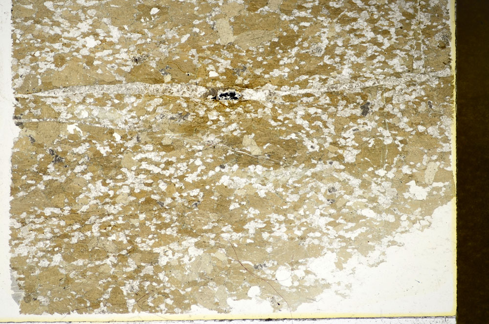 Plane Polarized, S85511