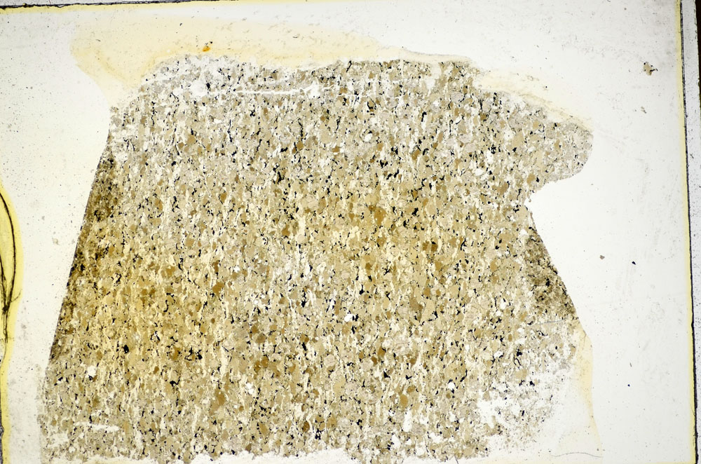 Plane Polarized, S85512