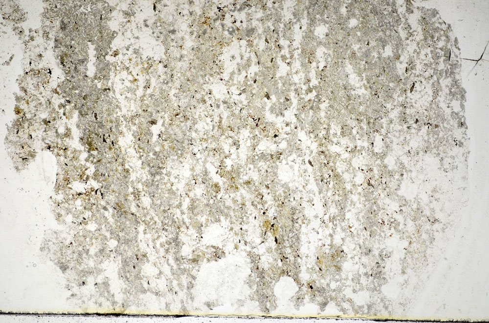 Plane Polarized, S85518