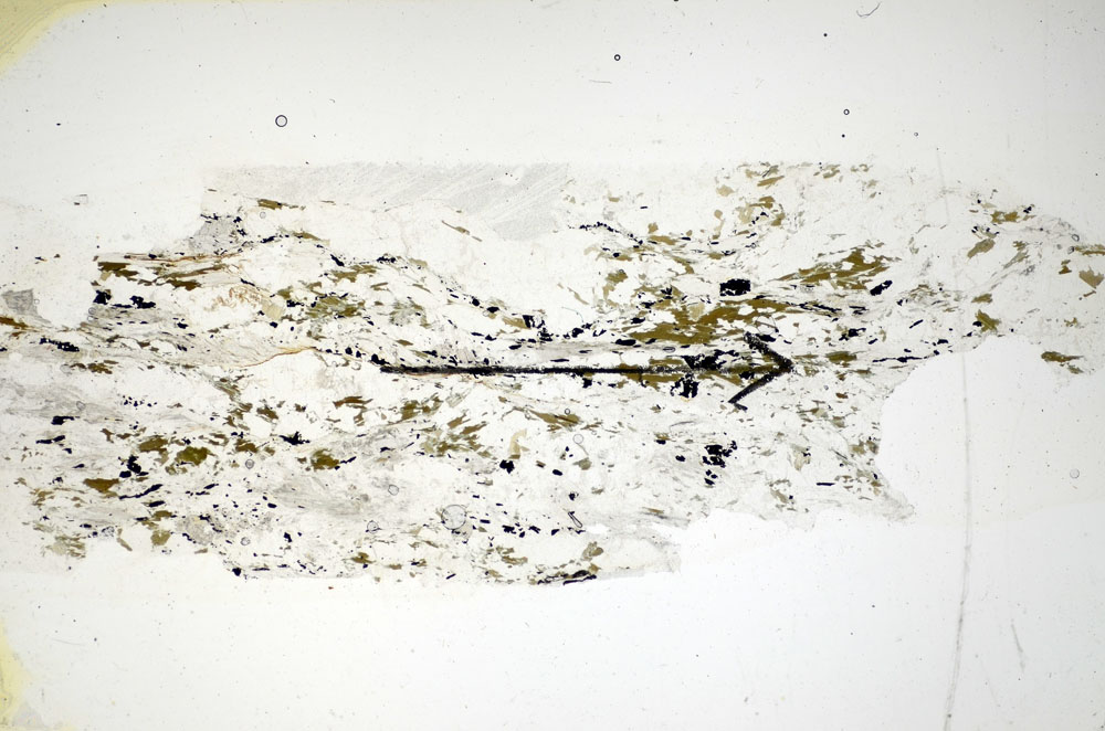 Plane Polarized, S85529/C