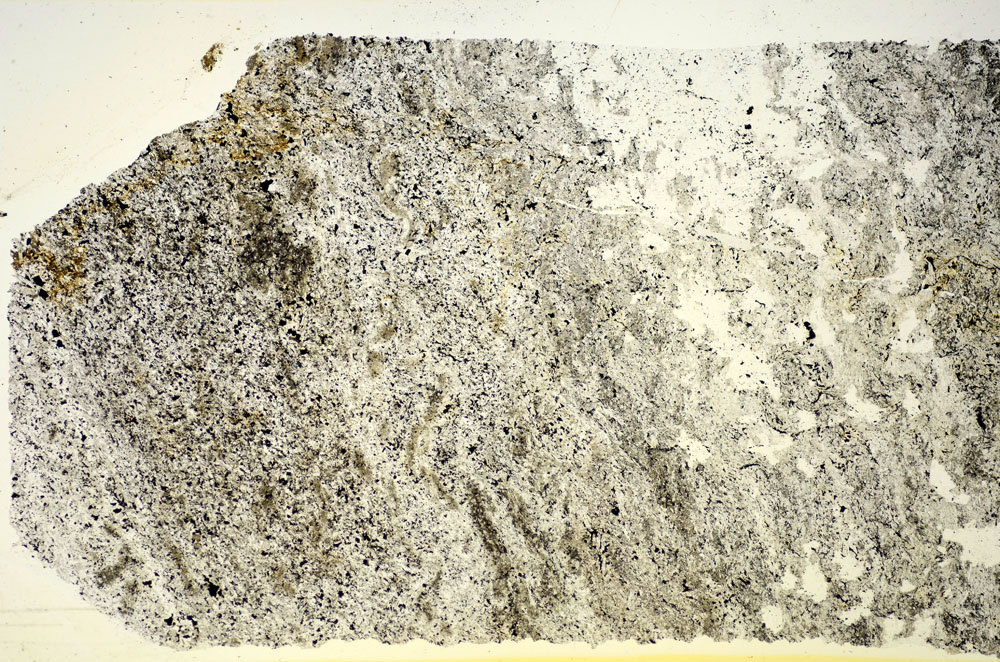 Plane Polarized, S85534