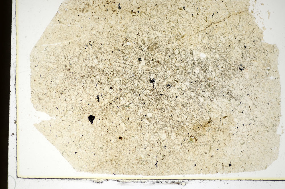 Plane Polarized, S85537