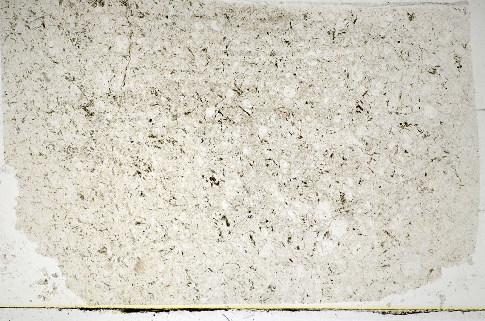 Plane Polarized, S85538
