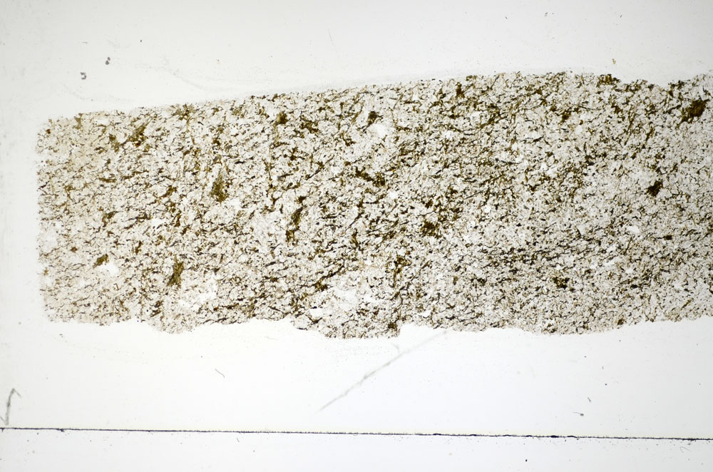 Plane Polarized, S85549