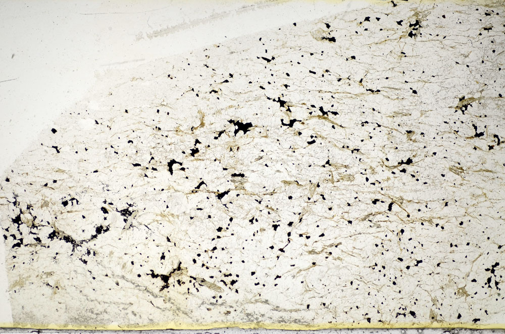 Plane Polarized, S85574
