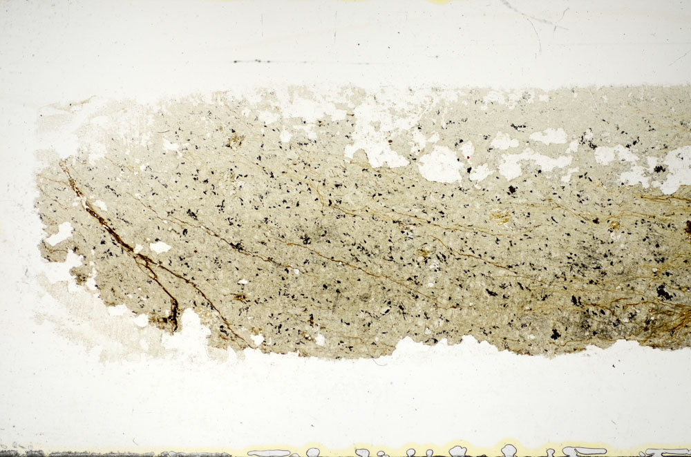 Plane Polarized, S85578