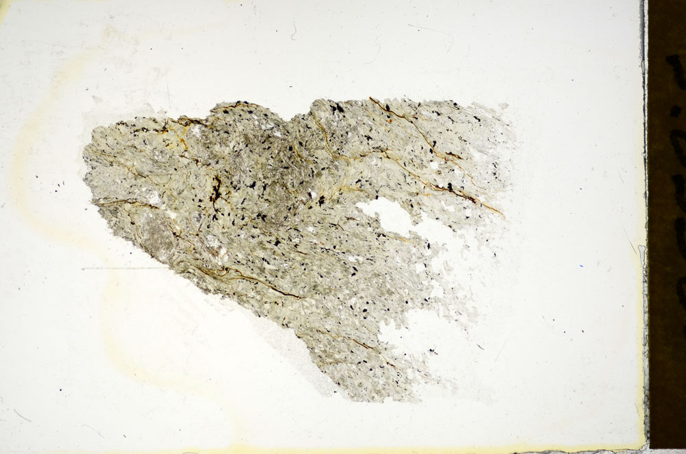 Plane Polarized, S85580