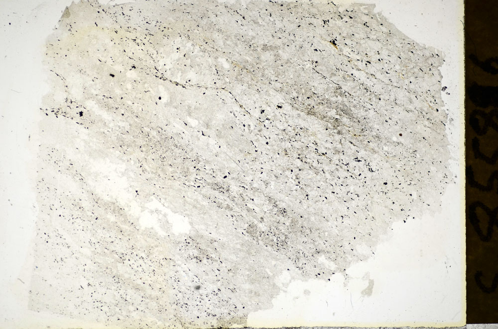 Plane Polarized, S85586