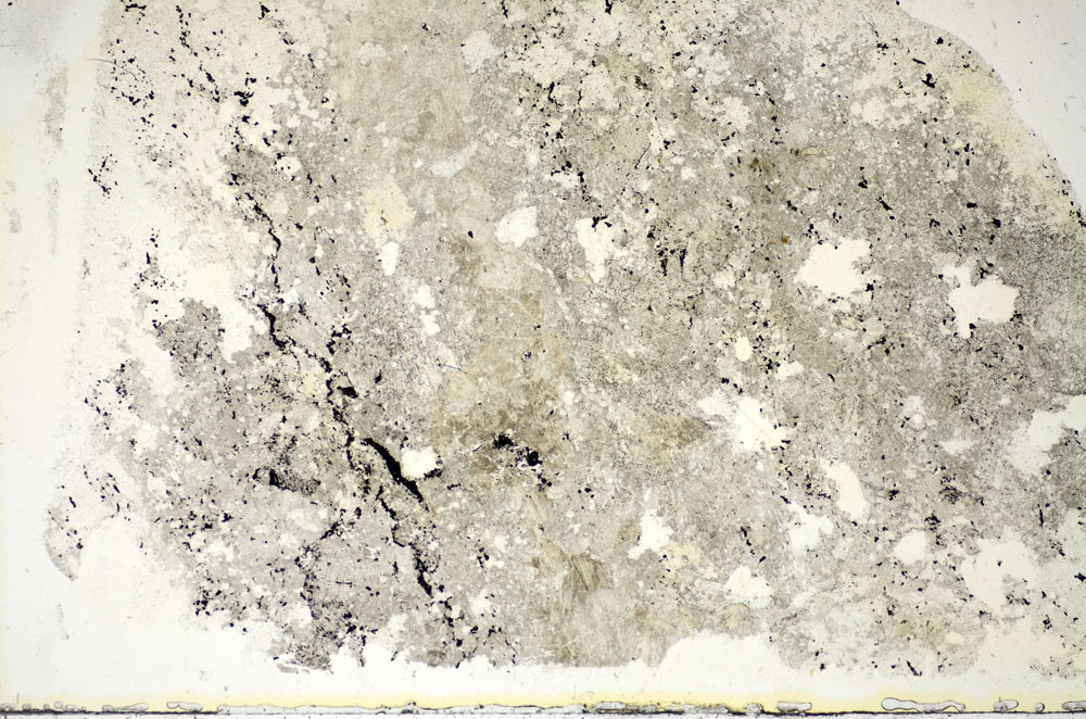 Plane Polarized, S85590
