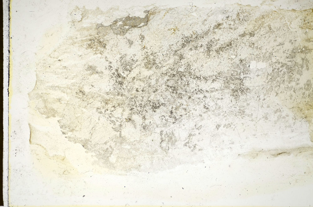 Plane Polarized, S85592
