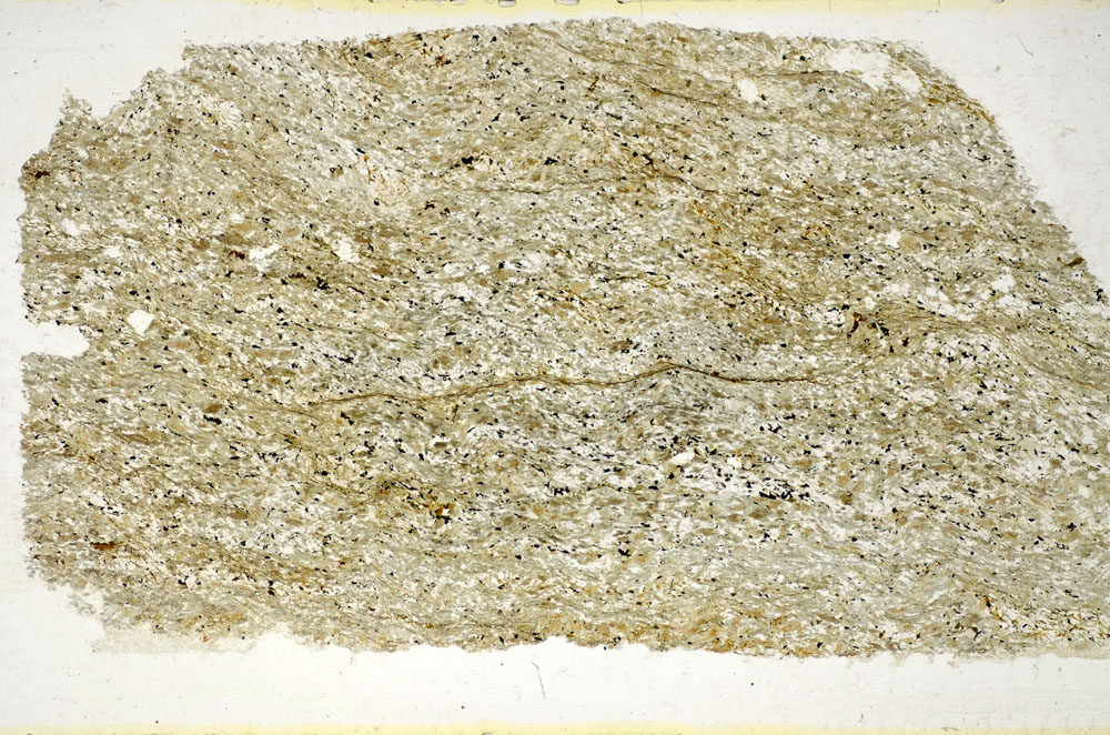 Plane Polarized, S85594