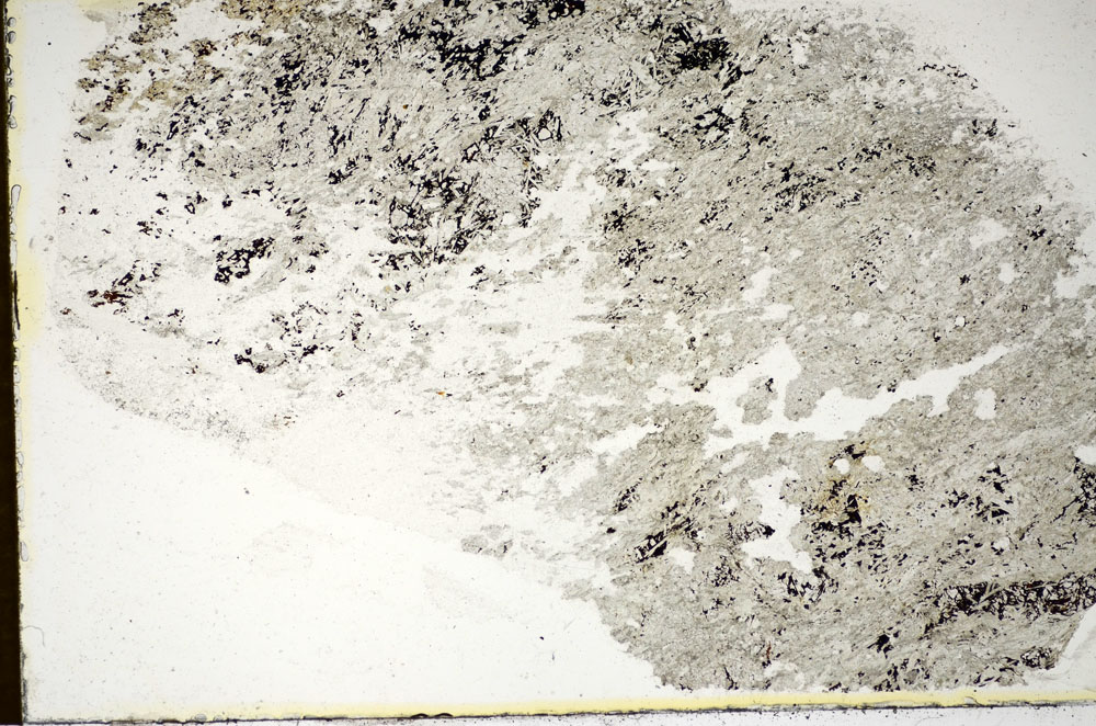 Plane Polarized, S85596