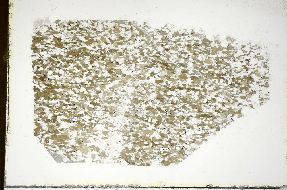 Plane Polarized, S85604