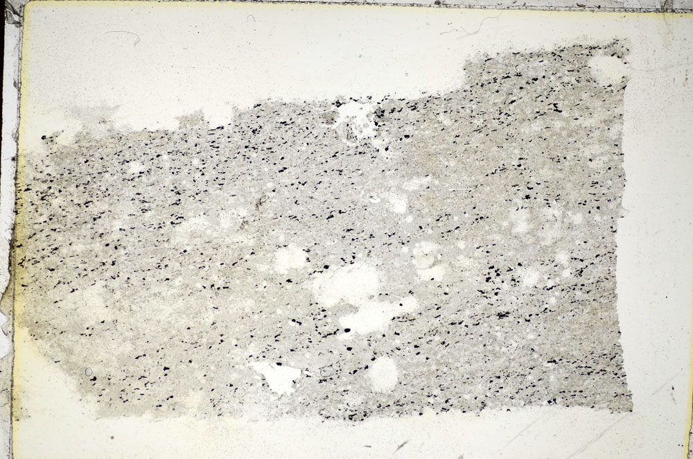 Plane Polarized, S85605