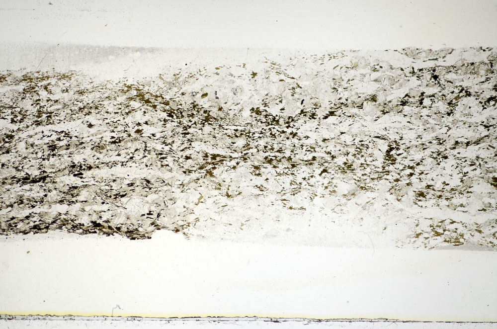Plane Polarized, S85607