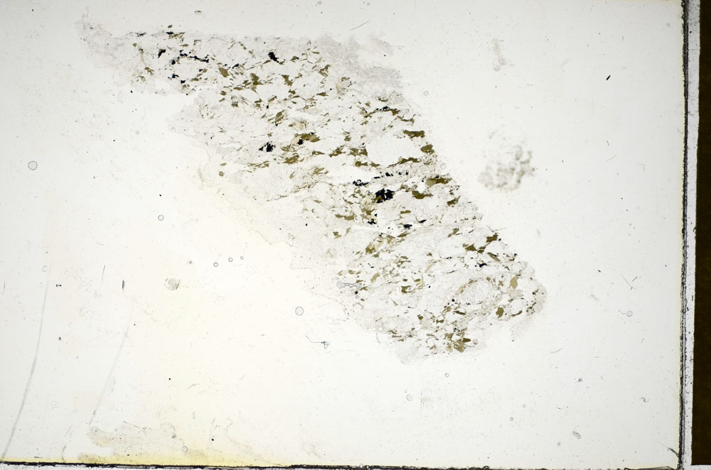 Plane Polarized, S85615