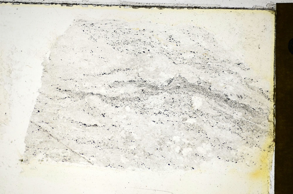 Plane Polarized, S85623
