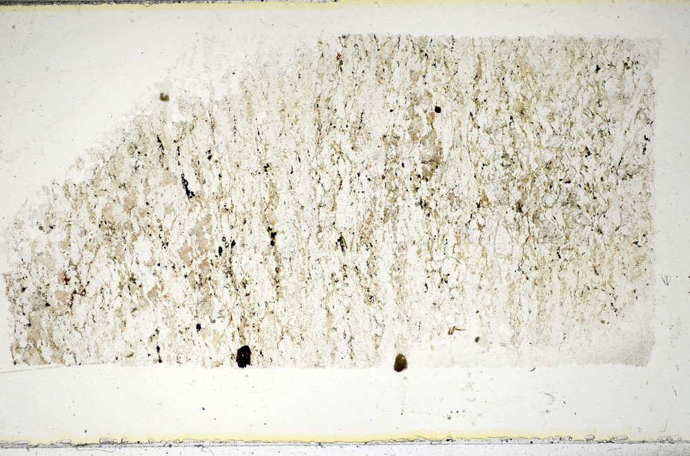 Plane Polarized, S85625