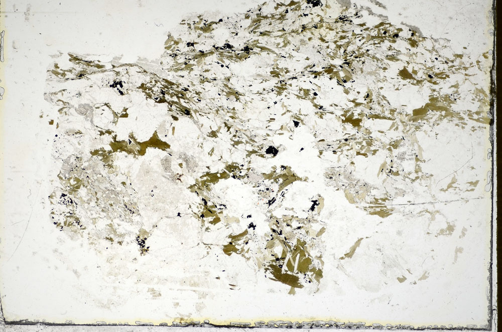 Plane Polarized, S85637