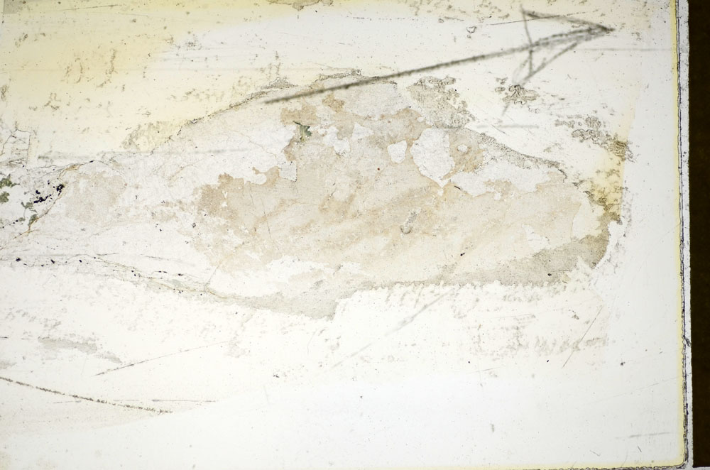 Plane Polarized, S85638