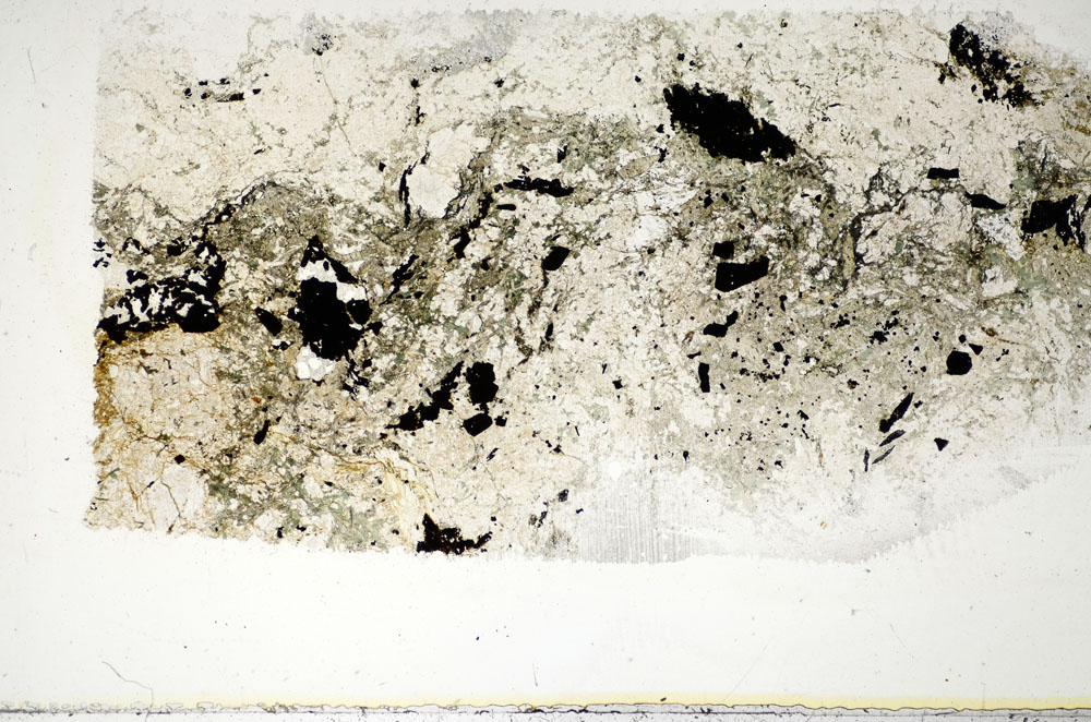 Plane Polarized, S85641