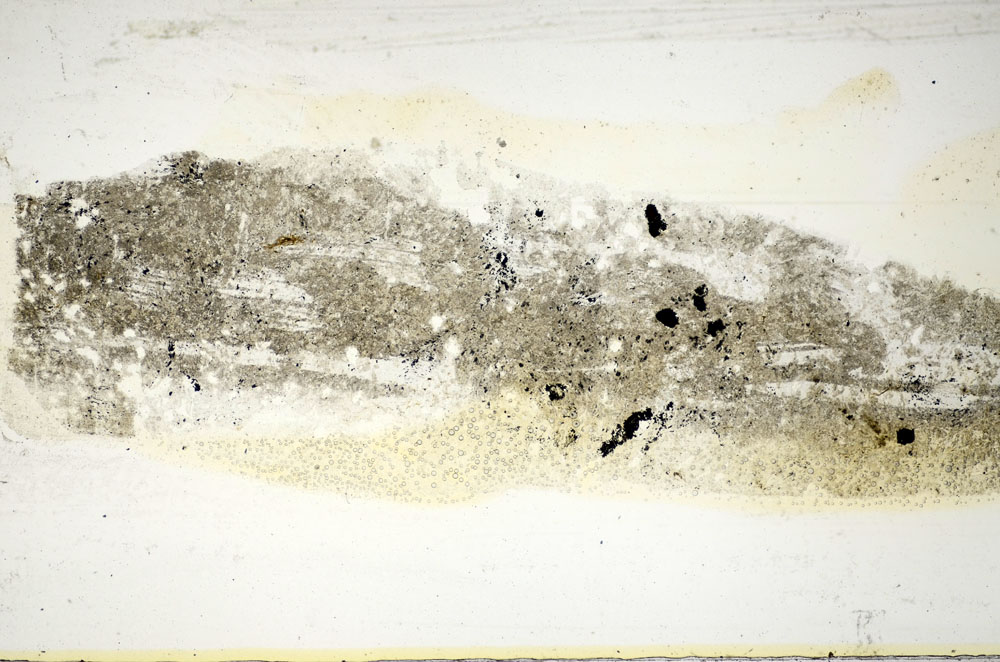 Plane Polarized, S85646