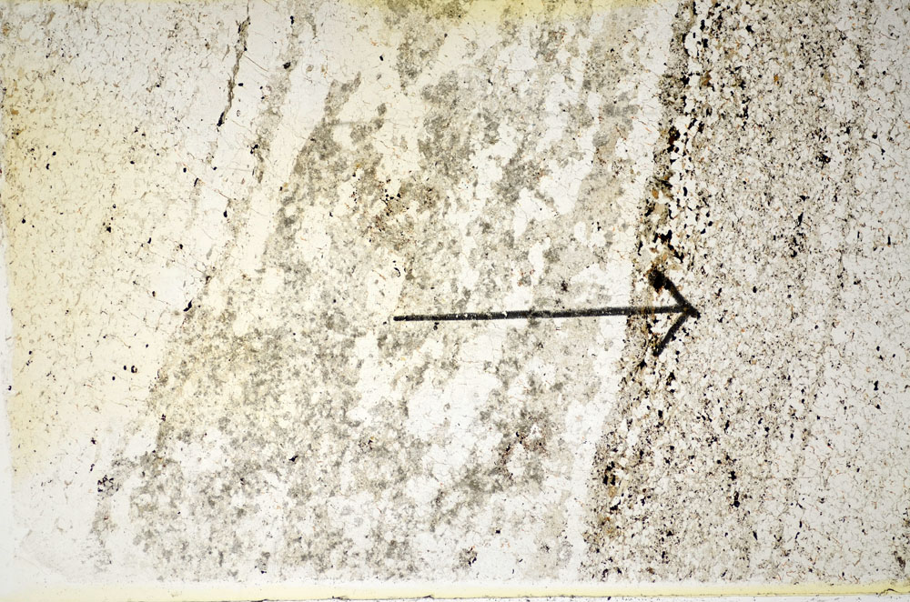 Plane Polarized, S85649