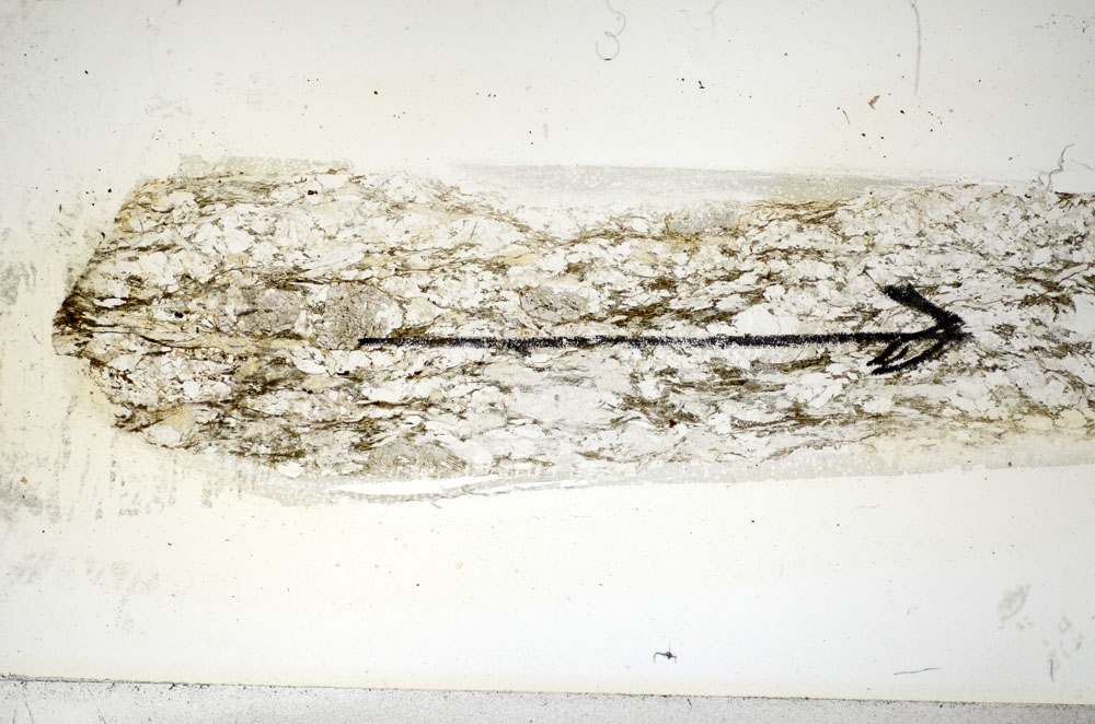 Plane Polarized, S85664