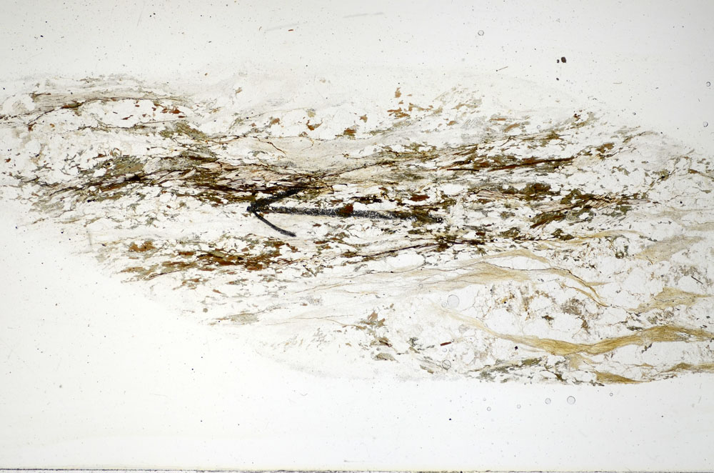 Plane Polarized, S85666