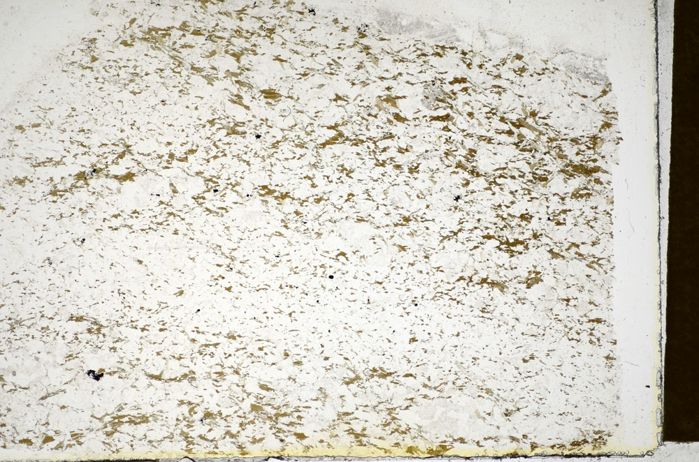 Plane Polarized, S85671