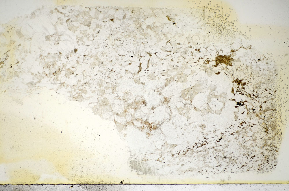 Plane Polarized, S85689