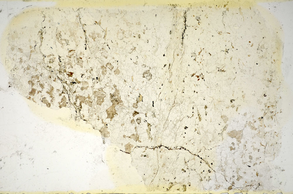 Plane Polarized, S85692