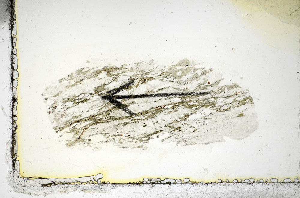 Plane Polarized, S85694