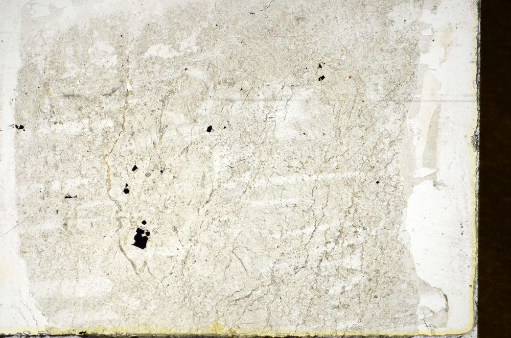 Plane Polarized, S85702