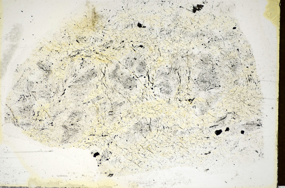 Plane Polarized, S85704