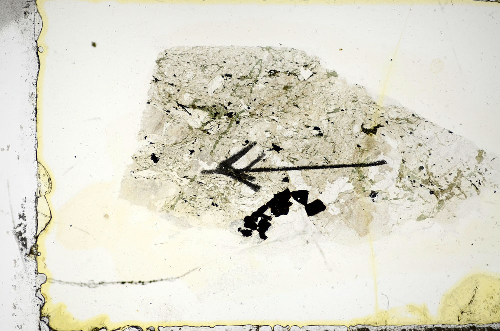 Plane Polarized, S85705