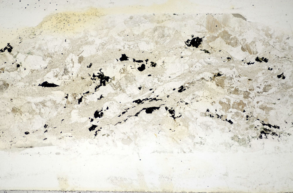 Plane Polarized, S85709