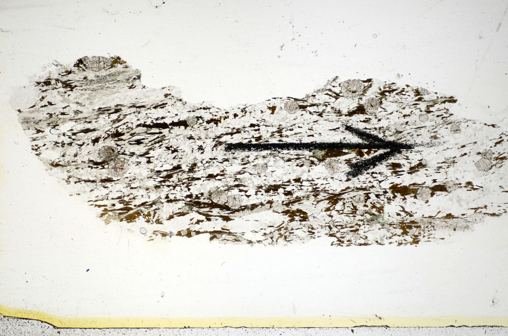 Plane Polarized, S85721